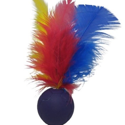 Catball para Gato Personalizado