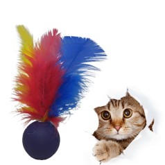 Catball para Gato Personalizado