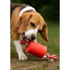 Tambor Pet com Corda para Cães Personalizado