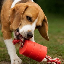 Tambor Pet com Corda Personalizado