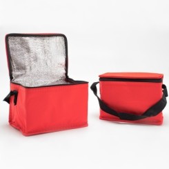 Bolsa Térmica 4L Personalizada para Brindes