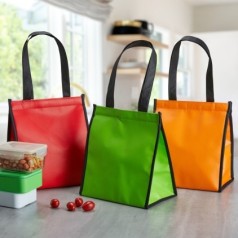 Bolsa Térmica 6L de TNT Personalizada