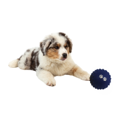 Comedouro Bolinha Cravo Cai Ração Personalizado