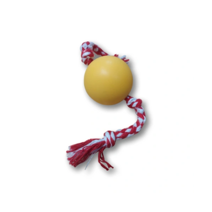 Bolinha para Pet com Corda Personalizada