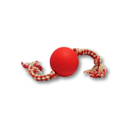 Bolinha para Pet com Corda Personalizada