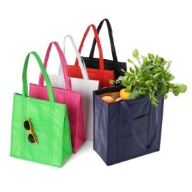 Sacola Térmica 18L de TNT Personalizada