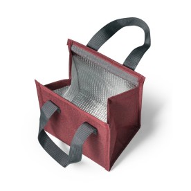 Bolsa Térmica 6L Personalizada em 300D